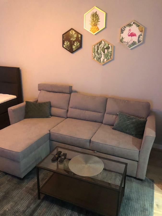 Apartament Flaming Z Balkonem - Scisle Centrum Naprzeciwko Pkp I Pks - Self Check In - Darmowy Parking - Pozne Wymeldowanie - Wystawiamy Fv Oppeln Exterior foto